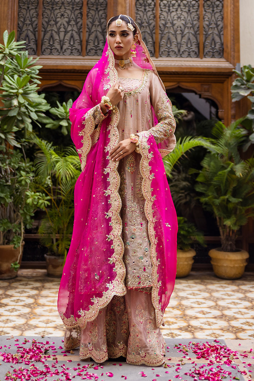 Blush Embroidered Maysuri Kalidar Gharara (3-Piece) - Image 4
