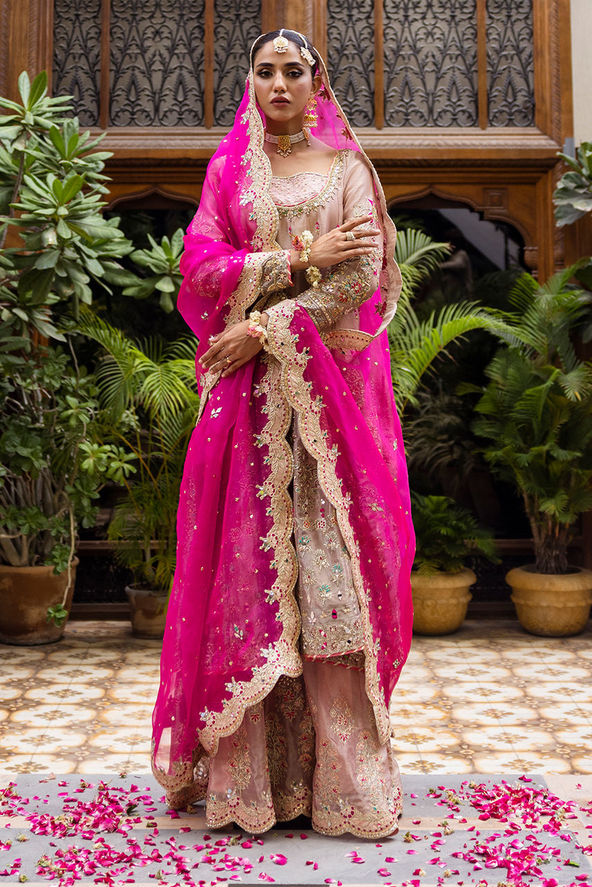 Blush Embroidered Maysuri Kalidar Gharara (3-Piece) - Image 5