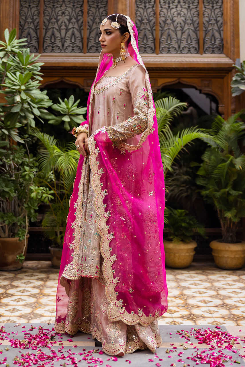 Blush Embroidered Maysuri Kalidar Gharara (3-Piece) - Image 6