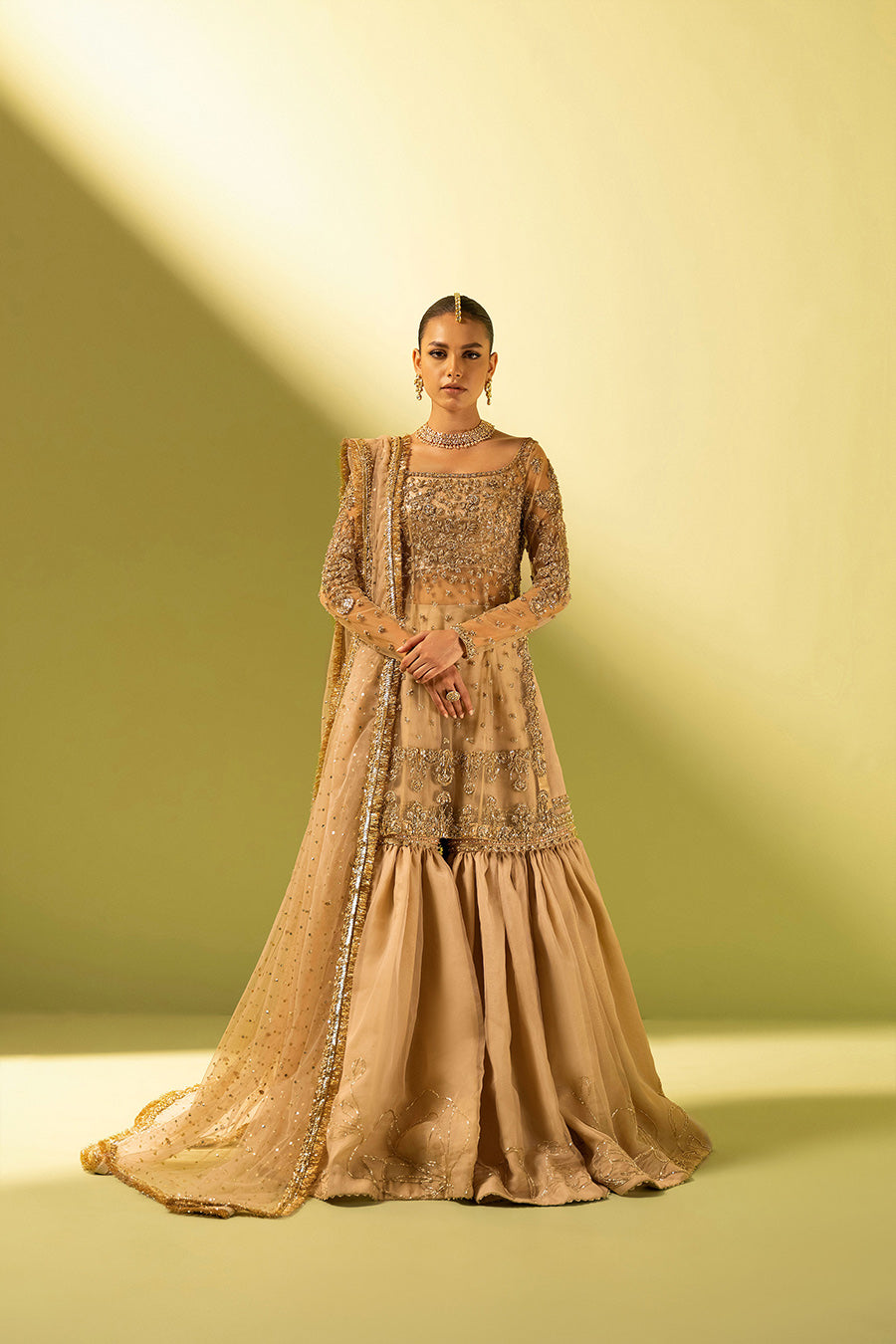 Pakistani Nude Pink Zardozi Net & Organza Gharara (3-Piece) - Image 1