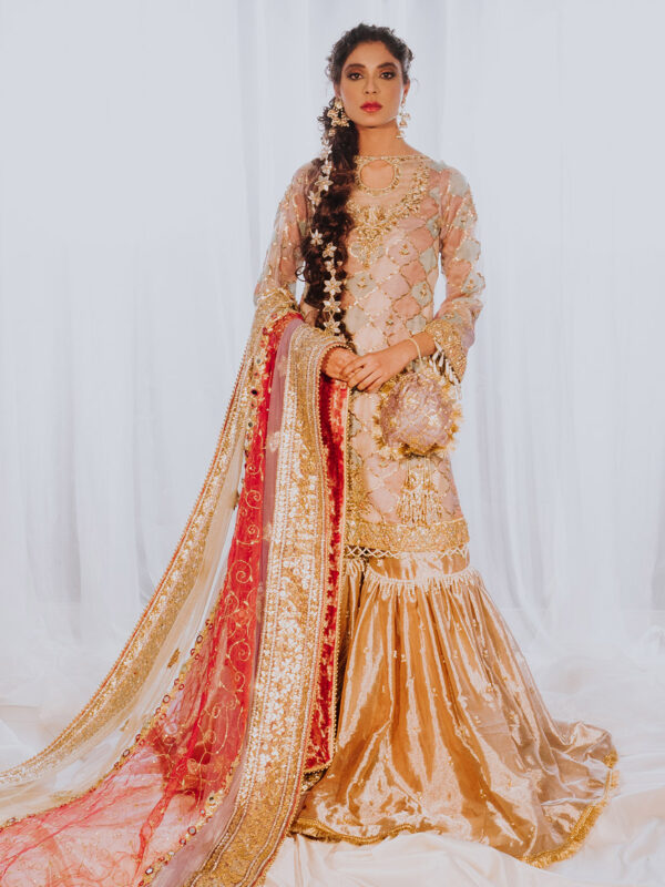 Pakistani Blush Pink Gota Embroidered Organza Gharara (3-Piece) - Image 1