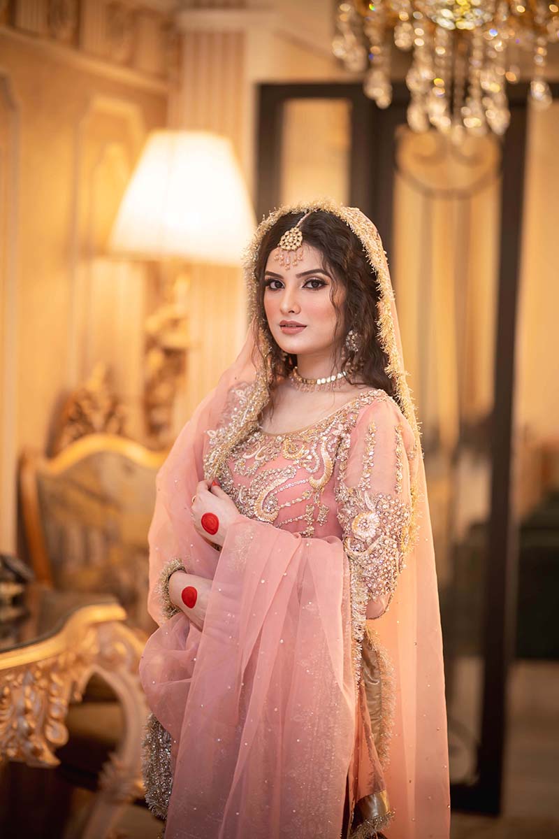 Tea Pink Embellished Organza Gharara (3-Piece) - Image 1