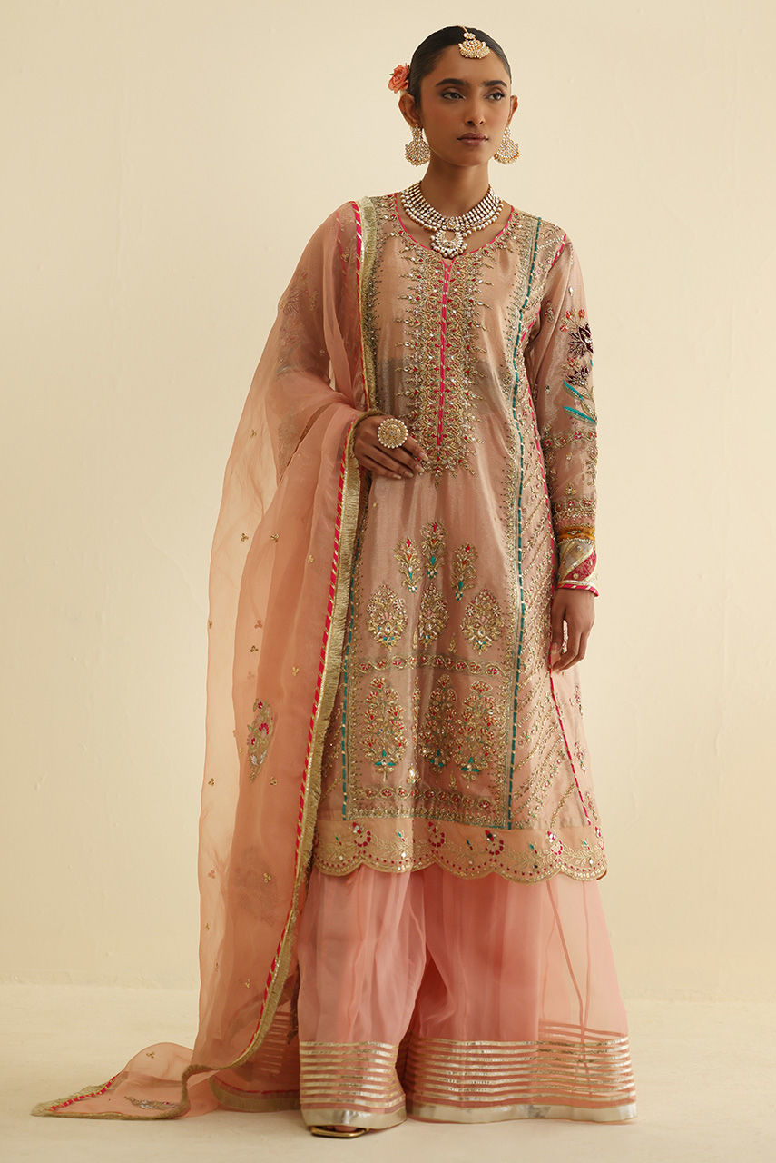 Blush Pink Embroidered Maysuri Gharara Set (3-Piece) - Image 4