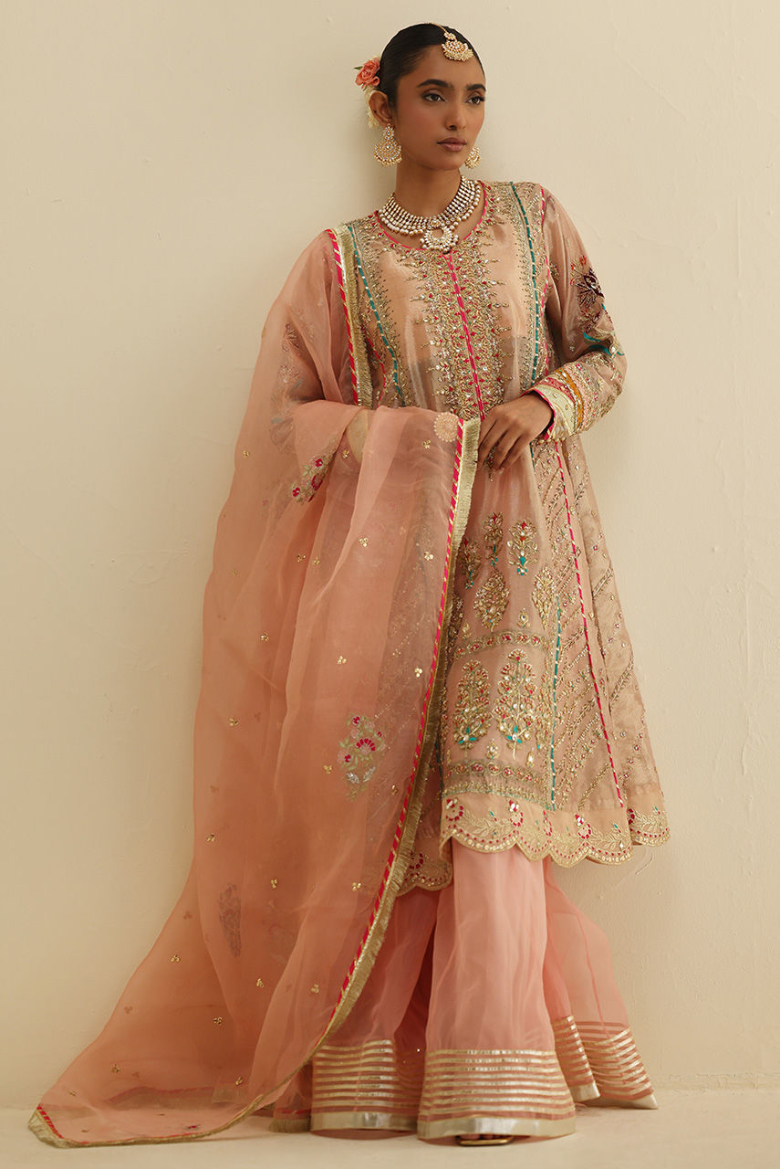 Blush Pink Embroidered Maysuri Gharara Set (3-Piece) - Image 5
