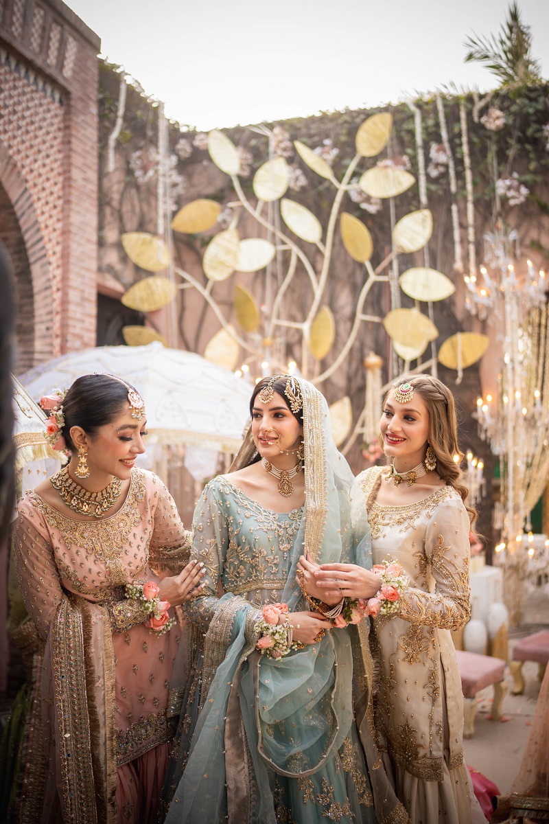 Pakistani Blush Pink Embroidered Net Farshi Gharara (3-Piece) - Image 5