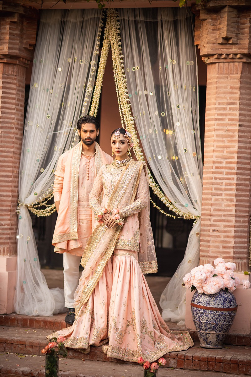 Pakistani Blush Pink Embroidered Net Farshi Gharara (3-Piece) - Image 6