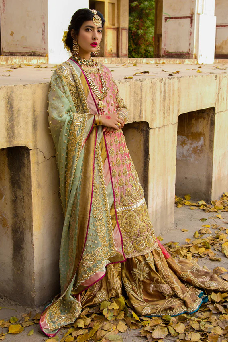 Coral Embroidered Tissue & Silk Farshi Dhaka Gharara (3-Piece) - Image 1