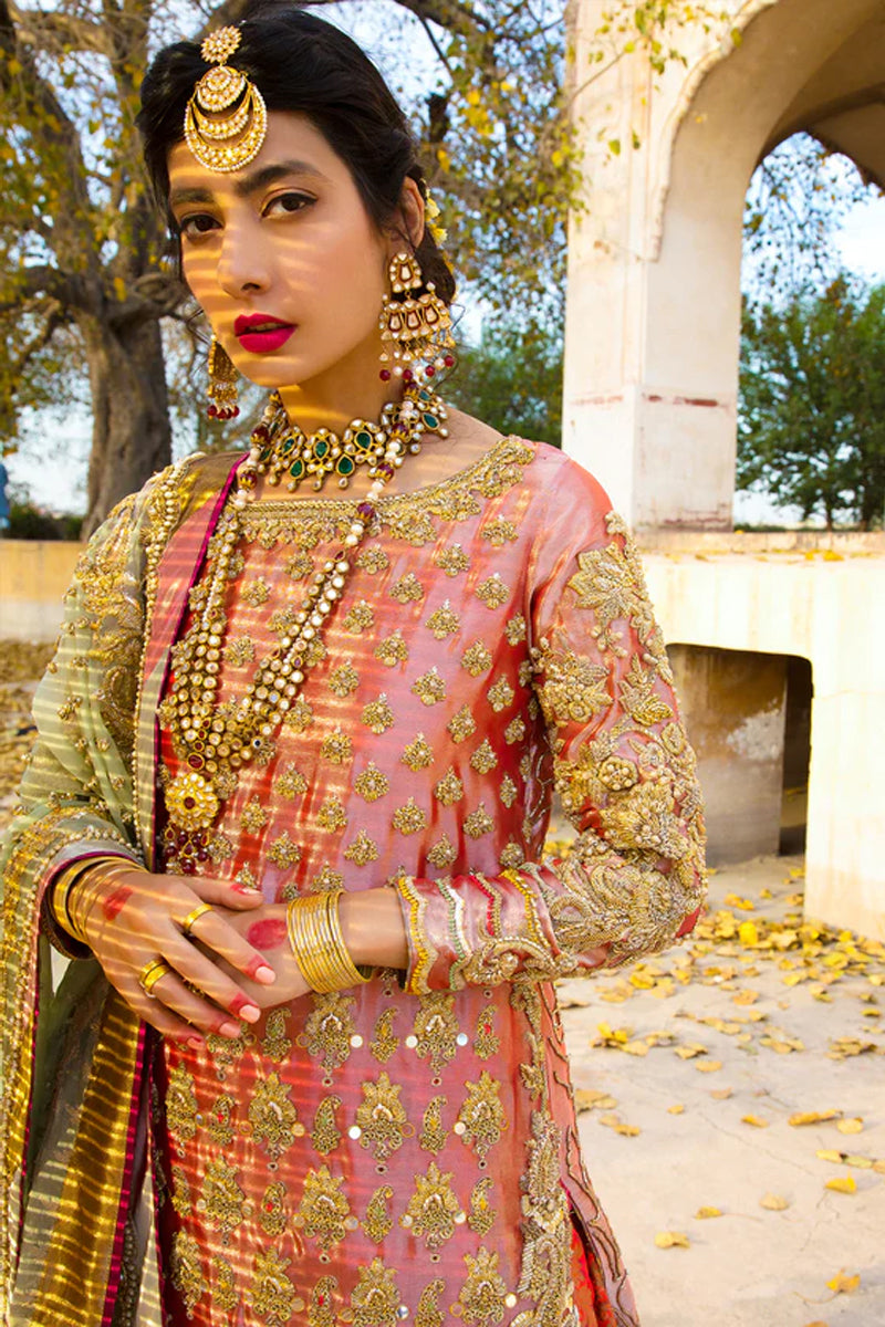 Coral Embroidered Tissue & Silk Farshi Dhaka Gharara (3-Piece) - Image 3