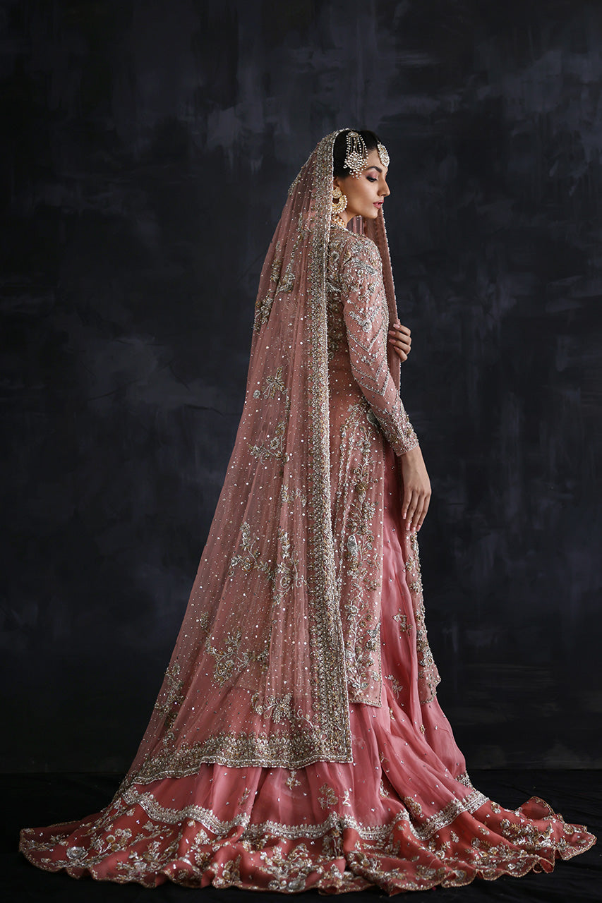 Pakistani Powder Pink Zardozi Tissue & Net Farshi Gharara (3-Piece) - Image 3