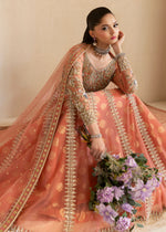 Pakistani Coral Embellished Net Bridal Gown (2-Piece) - Image 6
