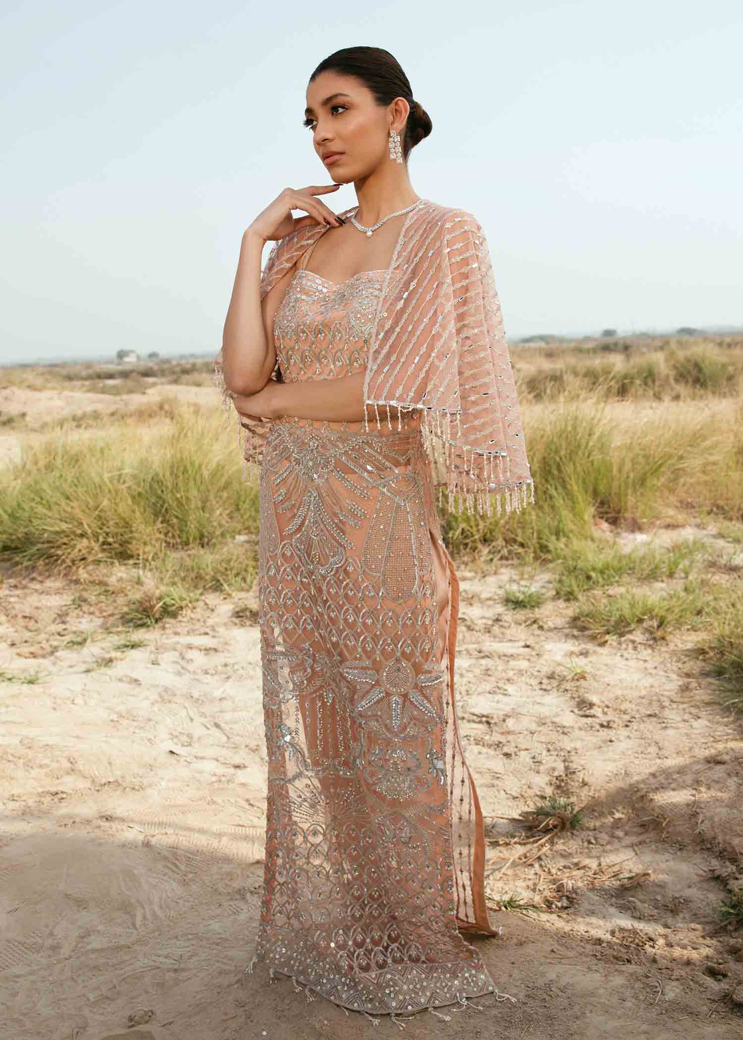 Pakistani Peach Embroidered Net Formal Gown (2-Piece) - Image 2