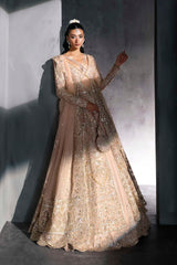 Pakistani Blush Embroidered Net Bridal Gown (2-Piece) - Image 6