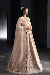 Pakistani Blush Embroidered Net Bridal Gown (2-Piece) - Image 8