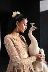 Pakistani Blush Embroidered Net Bridal Gown (2-Piece) - Image 9