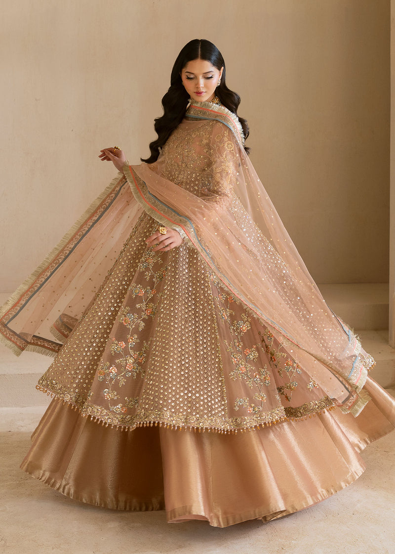 Dusty Pink Embroidered Net Gown (3-Piece) - Image 6