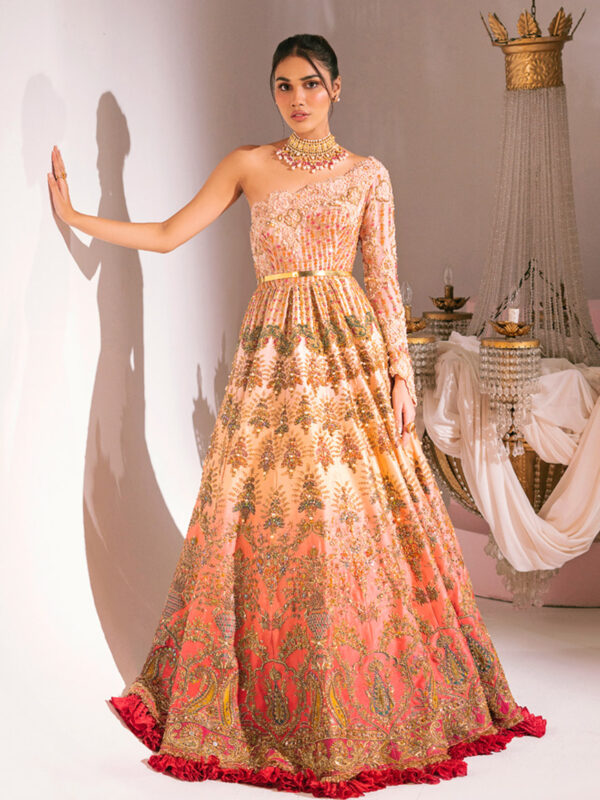 Pakistani Peach Ombre Embellished Net Organza Peshwas Gown (1-Pc) - Image 1
