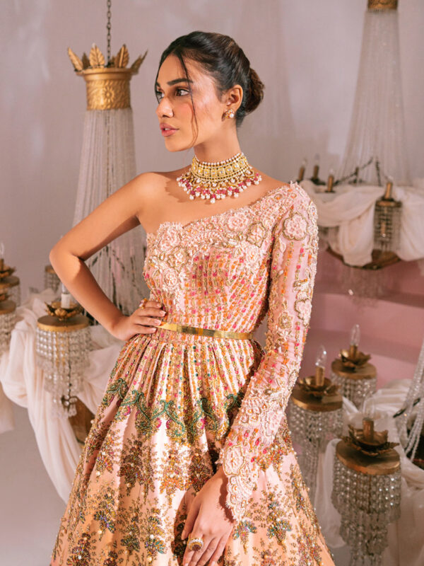 Pakistani Peach Ombre Embellished Net Organza Peshwas Gown (1-Pc) - Image 4