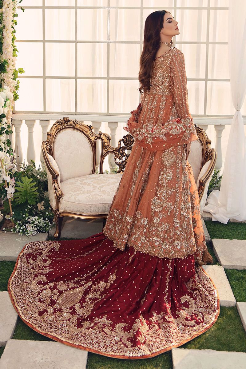 Salmon Zardozi Net Gown with Red Silk Lehnga (3-Piece) - Image 3