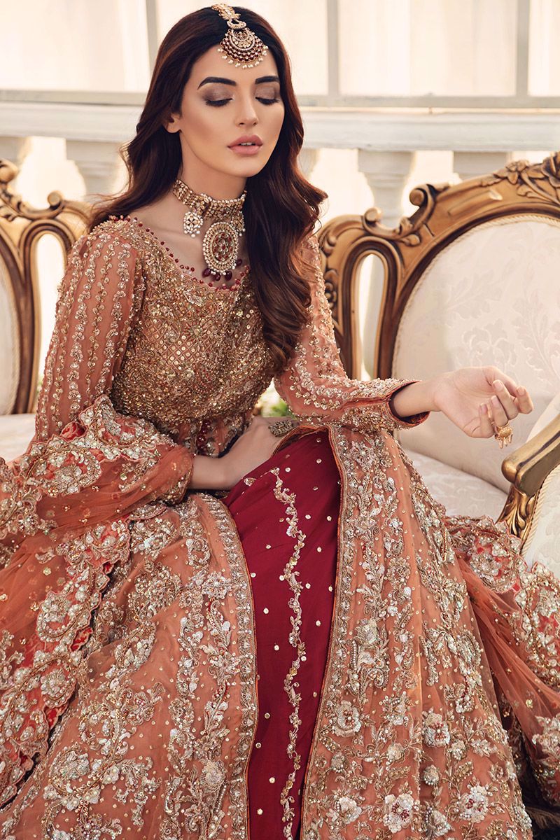 Salmon Zardozi Net Gown with Red Silk Lehnga (3-Piece) - Image 4