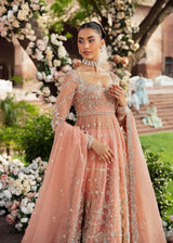 Pakistani Peach Embroidered Net Bridal Gown (2-Piece) - Image 3