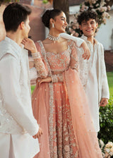 Pakistani Peach Embroidered Net Bridal Gown (2-Piece) - Image 5
