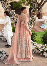 Pakistani Peach Embroidered Net Bridal Gown (2-Piece) - Image 6