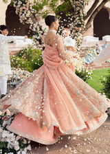 Pakistani Peach Embroidered Net Bridal Gown (2-Piece) - Image 7