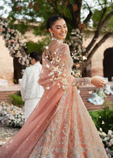 Pakistani Peach Embroidered Net Bridal Gown (2-Piece) - Image 8