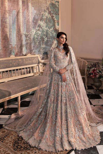 Pakistani Blush Pink Embellished Net Bridal Tail Gown (2-Piece) - Image 1