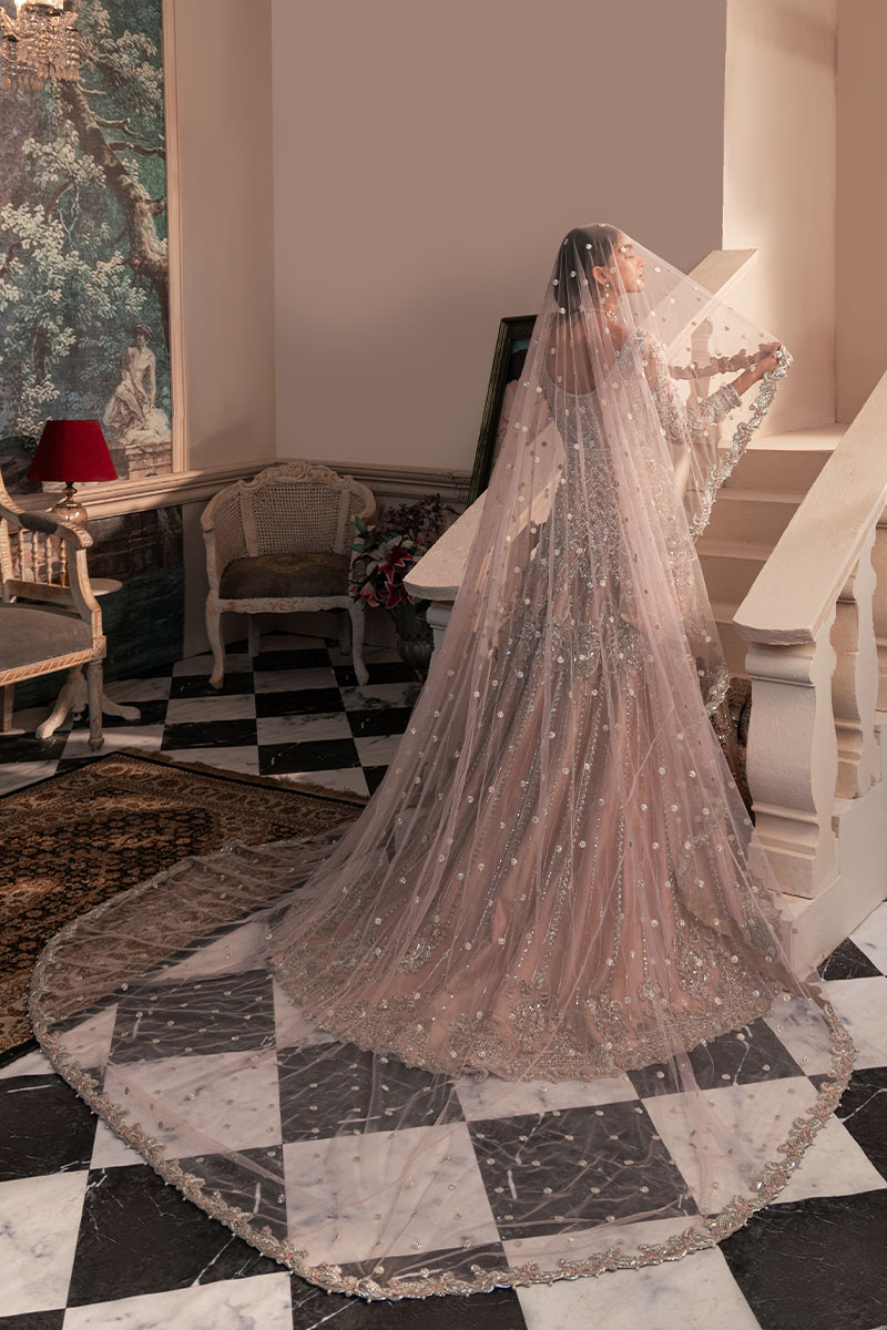 Pakistani Blush Pink Embellished Net Bridal Tail Gown (2-Piece) - Image 11