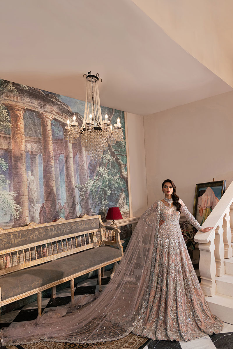 Pakistani Blush Pink Embellished Net Bridal Tail Gown (2-Piece) - Image 4