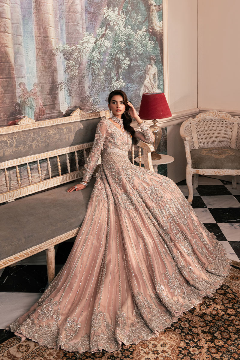Pakistani Blush Pink Embellished Net Bridal Tail Gown (2-Piece) - Image 8