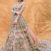 Blush Pink Embroidered Net Bridal Gown (1-Pc) - Image 3