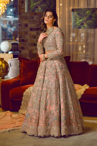 Peach Blush Embellished Net Bridal Gown (2-Piece) - Image 6