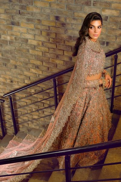 Peach Blush Embellished Net Bridal Gown (2-Piece) - Image 8