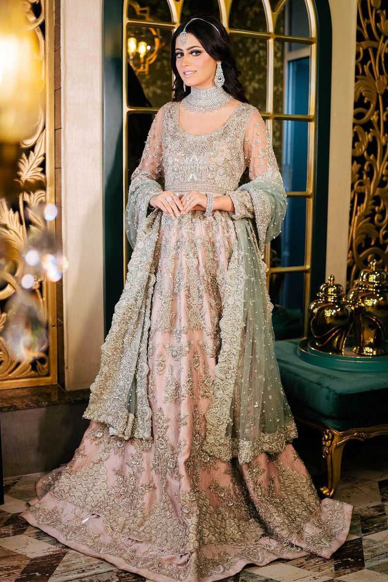 Blush Pink Embellished Net Bridal Gown (2-Piece) - Image 1