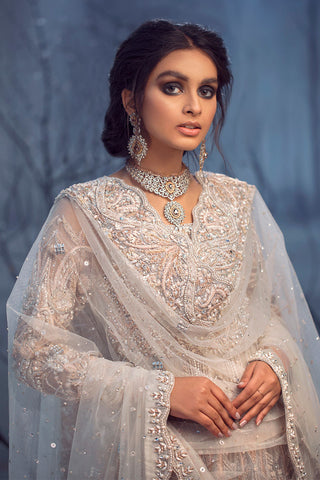 Pakistani Peach Embroidered Net Gown (2-Piece) - Image 4