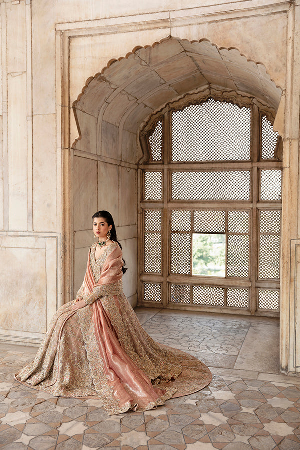 Blush Pink Embroidered Net Bridal Gown (2-Piece) - Image 3