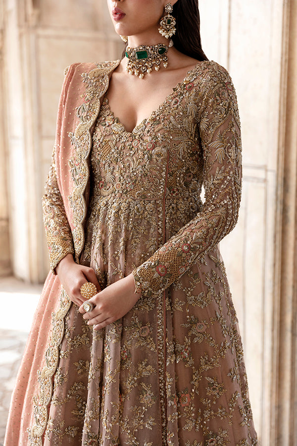 Blush Pink Embroidered Net Bridal Gown (2-Piece) - Image 6