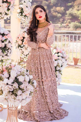 Dusty Rose Embellished Net Bridal Gown (1-Pc) - Image 3