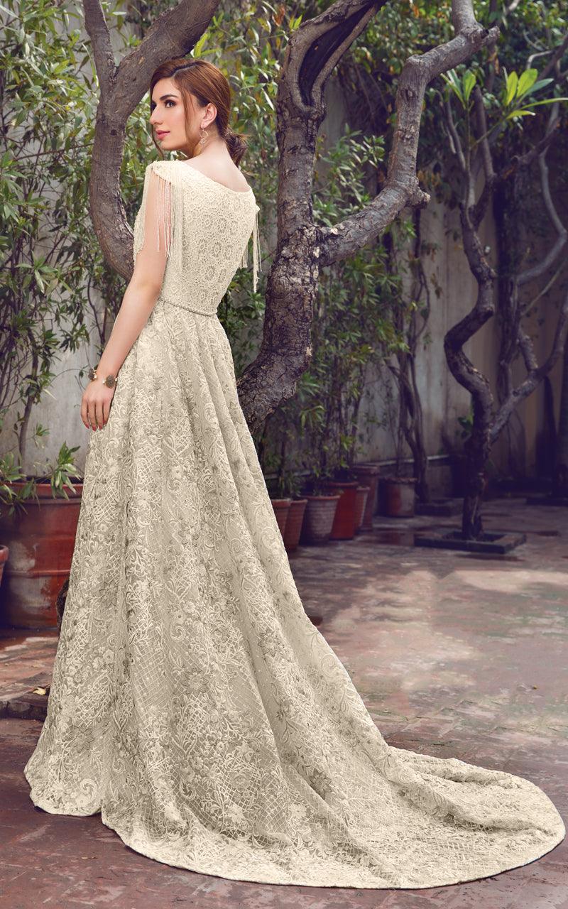 Pastel Embroidered Organza Net Lace Gown (1-Pc) - Image 11