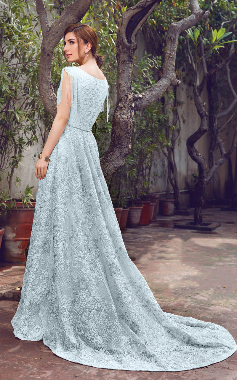 Pastel Embroidered Organza Net Lace Gown (1-Pc) - Image 3