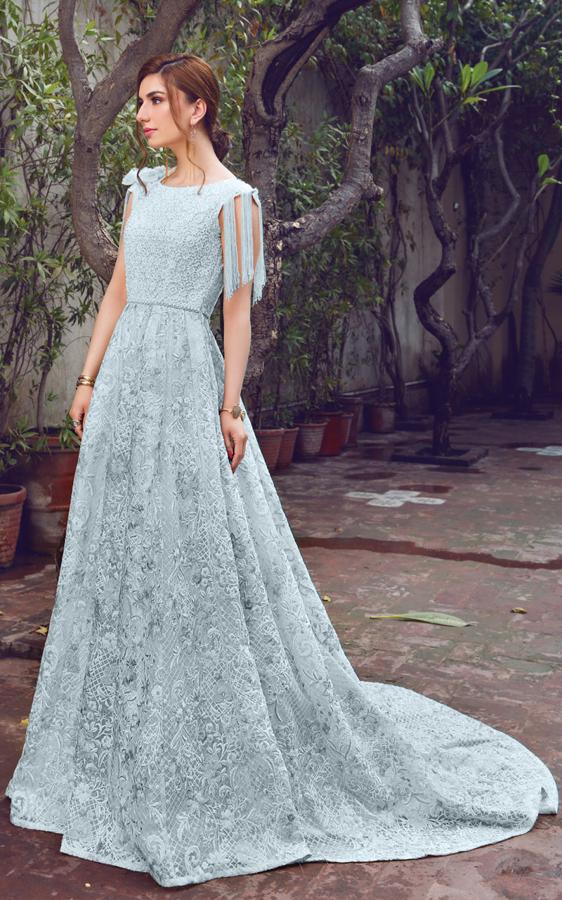 Pastel Embroidered Organza Net Lace Gown (1-Pc) - Image 4