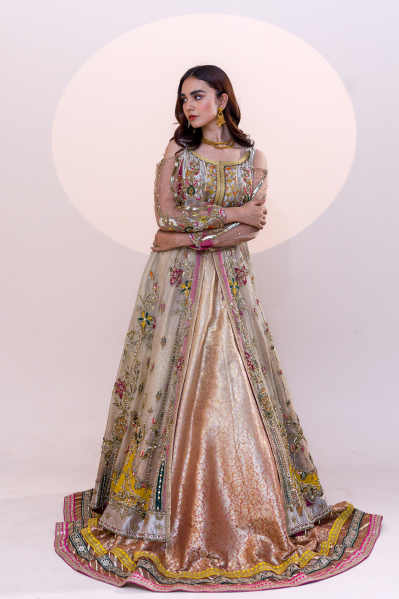 Pakistani Pastel Embroidered Organza Open-Front Gown (2-Piece) - Image 1