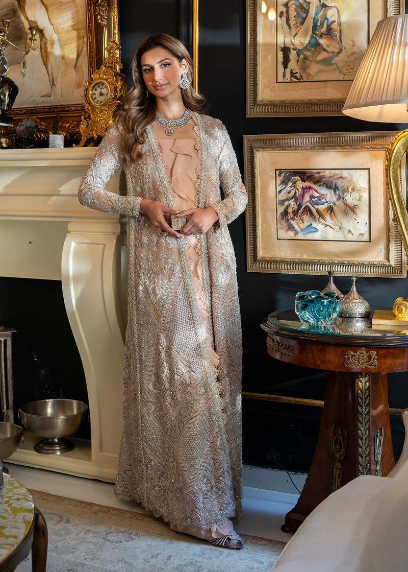 Blush Embroidered Organza Gown (3-Piece) - Image 2