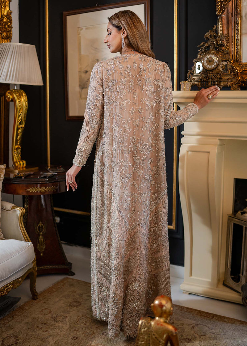 Blush Embroidered Organza Gown (3-Piece) - Image 3