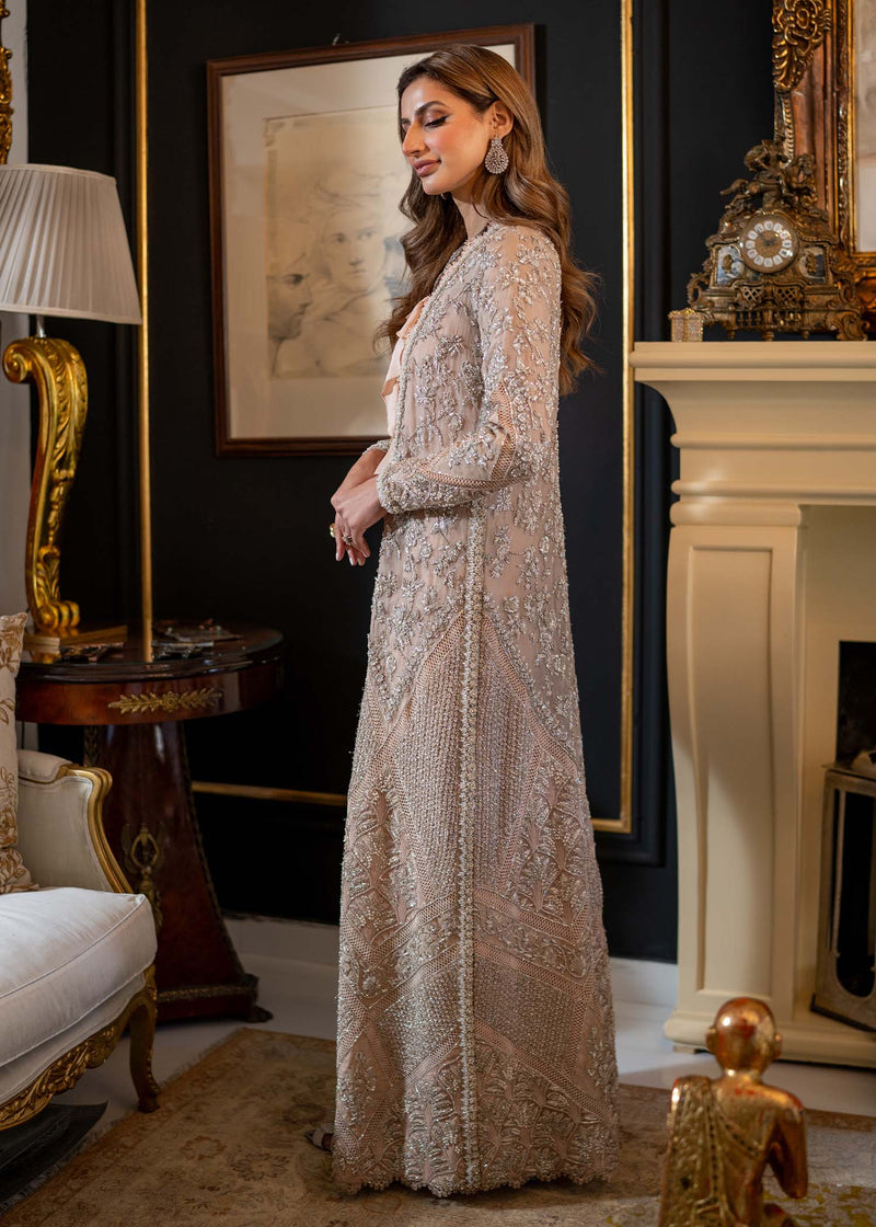 Blush Embroidered Organza Gown (3-Piece) - Image 4