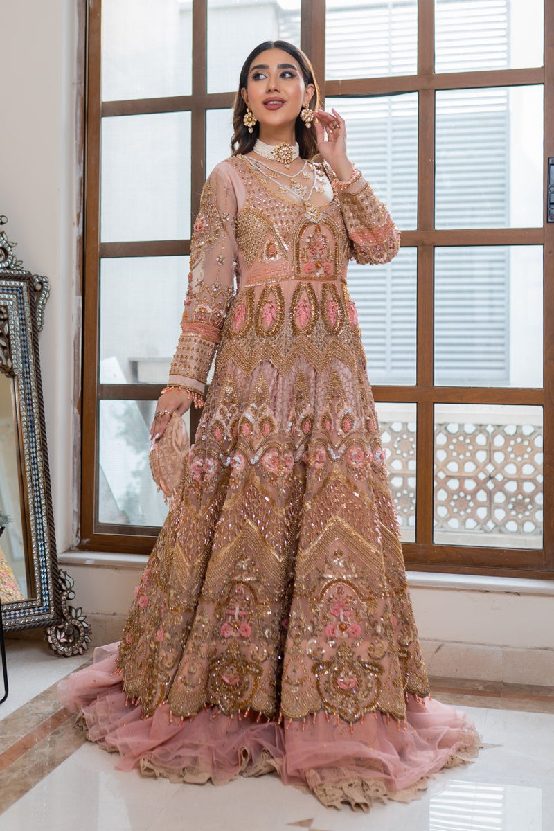 Pakistani Pink Embellished Organza Bridal Gown (2-Piece) - Image 1