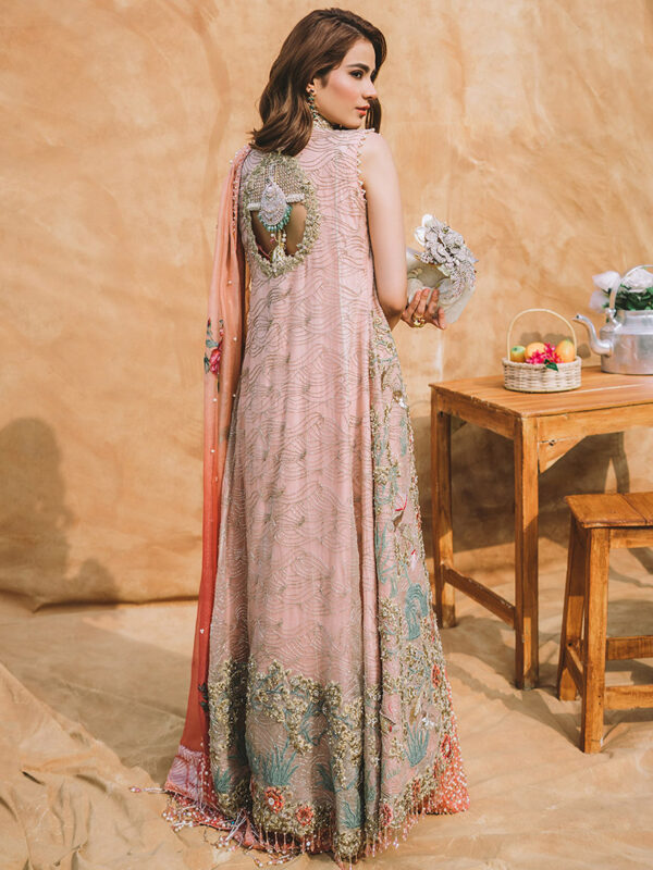 Pakistani Blush Pink Marori & Swarovski Organza Gown (2-Piece) - Image 1