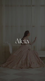 Pakistani Peach Hand-Embellished Organza Bridal Gown (2-Piece) - Image 8